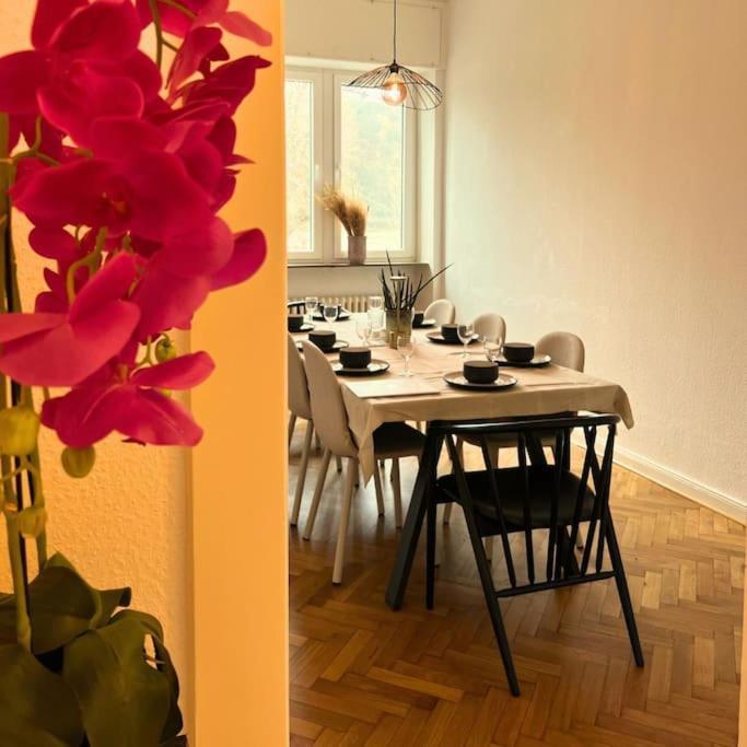 Gemuetliche Rheinblick Residenz Appartamento *