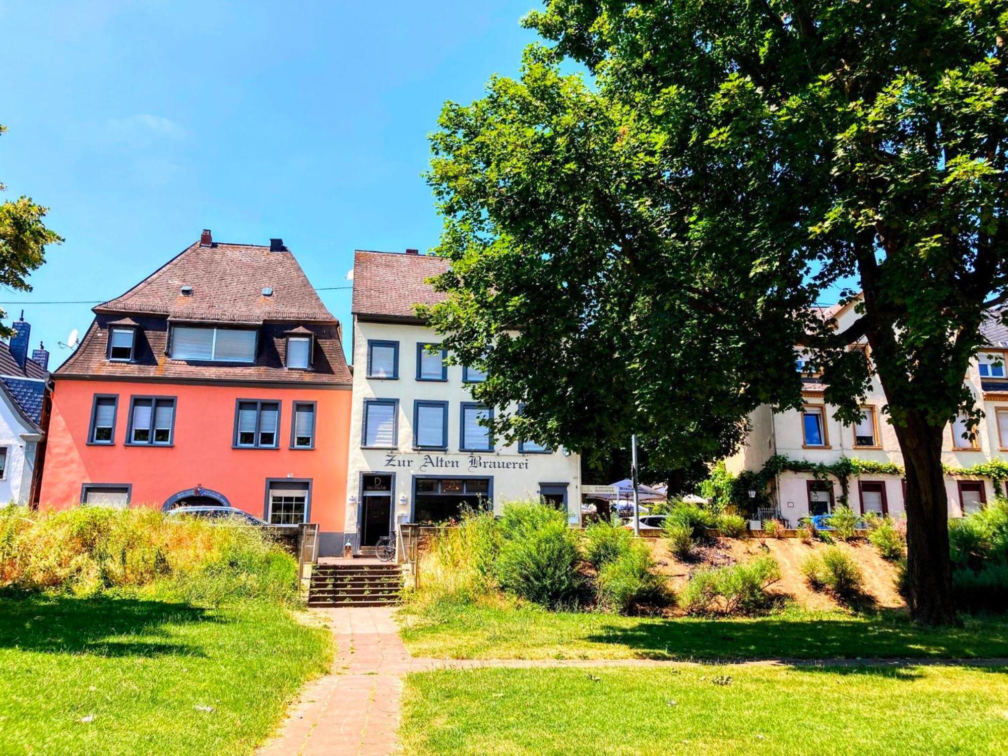 Gemuetliche Rheinblick Residenz Coblenza